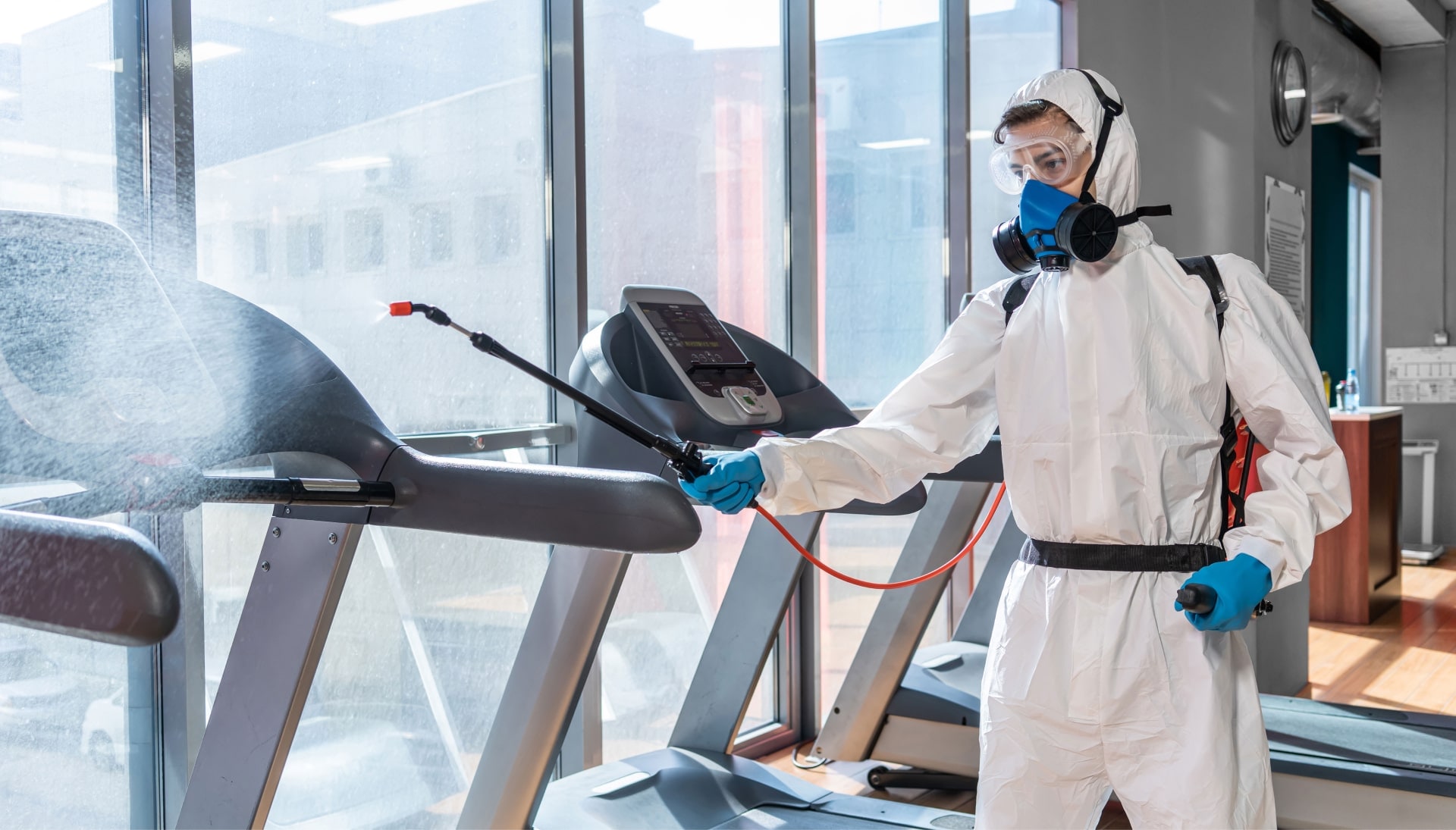 Commercial Mold Removal Services in Macon