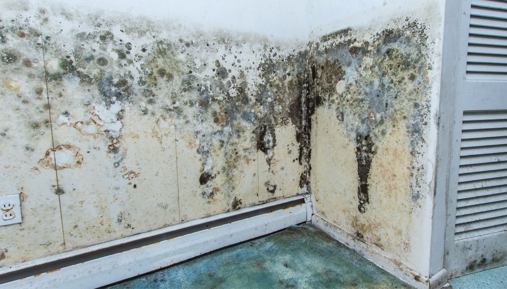 Mold Damage Odor Control Services in Macon