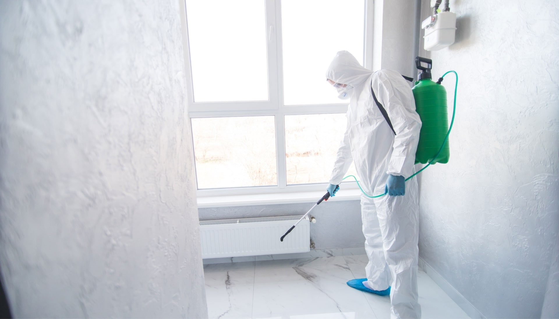 Mold Inspection Services in Macon